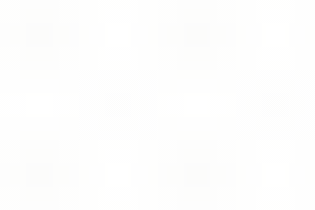 SHADOWRUN ANARCHY : All of Which Are American Dreams